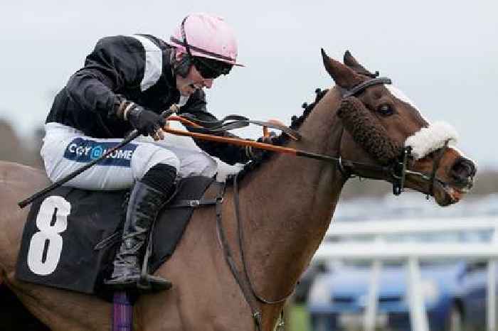 Transmission to end season with a Boom at Sandown