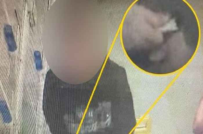 Pet shop thief 'hides four live canaries down his trousers' before making his escape