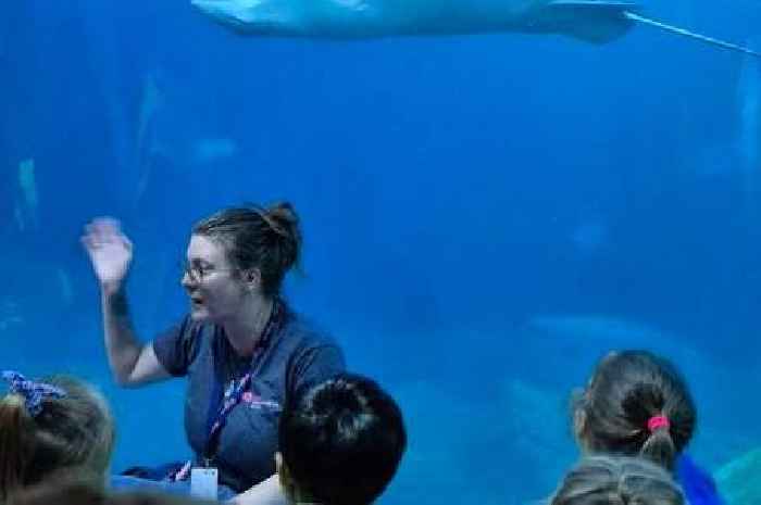 Exeter pupils go deep sea diving into marine life on unforgettable aquarium trip