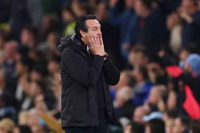 Unai Emery delivers 'not enough' verdict after Aston Villa suffer heartbreak at Man City