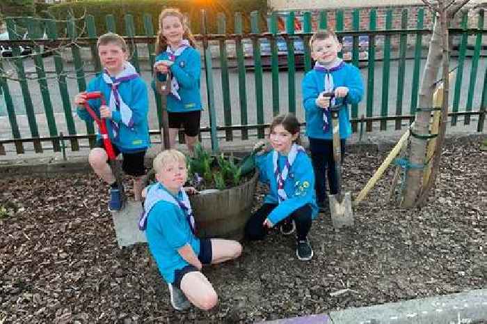 Burnside Scouts get set for annual plant sale