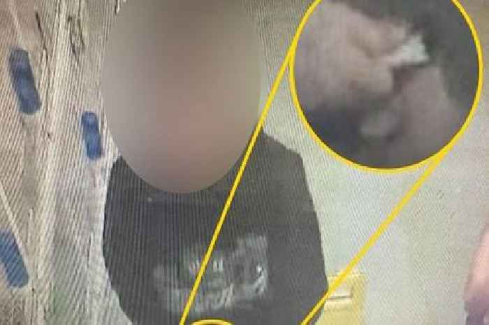 Pet shop owner shames brazen bloke who 'shoved four live canaries down his trousers'