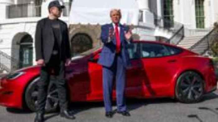 Musk signals 'significantly' stepping back from Doge as Tesla profits plunge