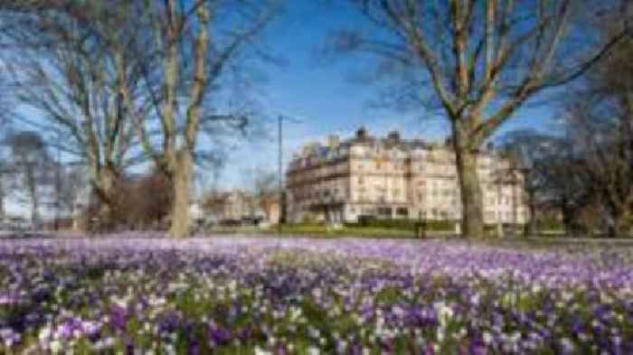What do town councils do and why do we need them?