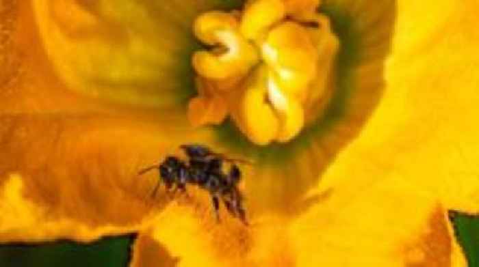 Cities to hold events for world nature challenge