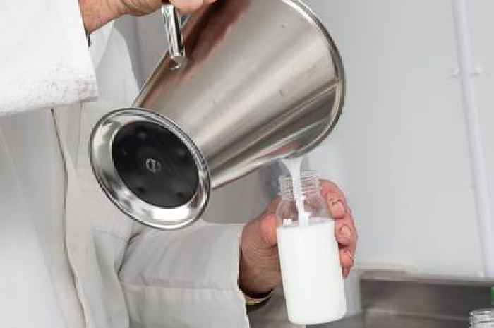 Cardiologist says to 'avoid' this one food to lower cholesterol