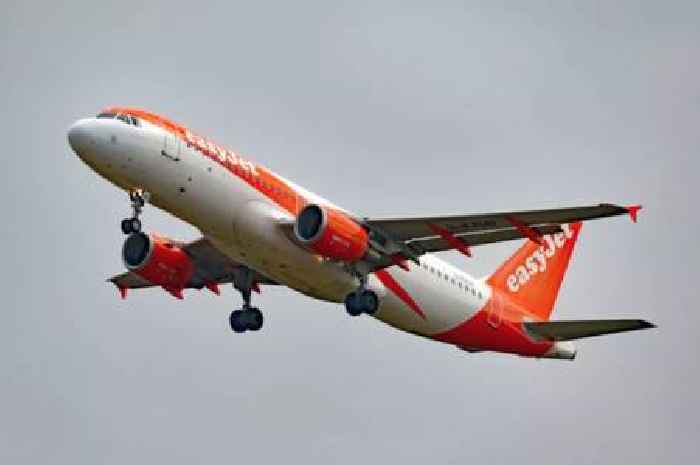 EasyJet flight forced to make emergency landing over 'snakes on plane'