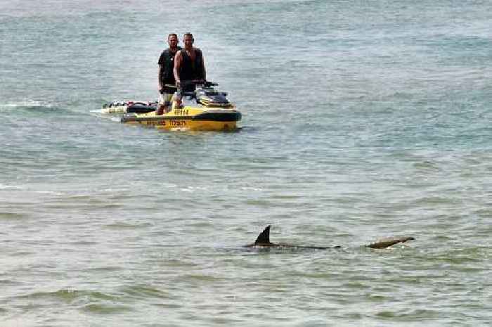Victim of rare shark attack while snorkelling confirmed as dad-of-four