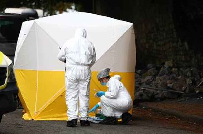 Wife pays tribute to bricklayer husband crushed to death under wall while working with his son