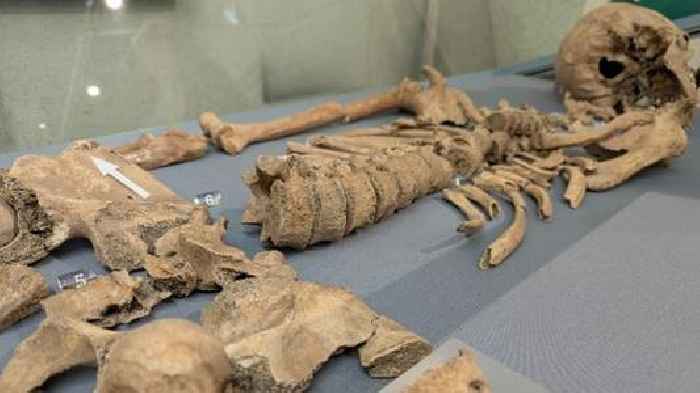 'Hic sunt leones!' Bite marks found on skeleton prove gladiators fought big cats