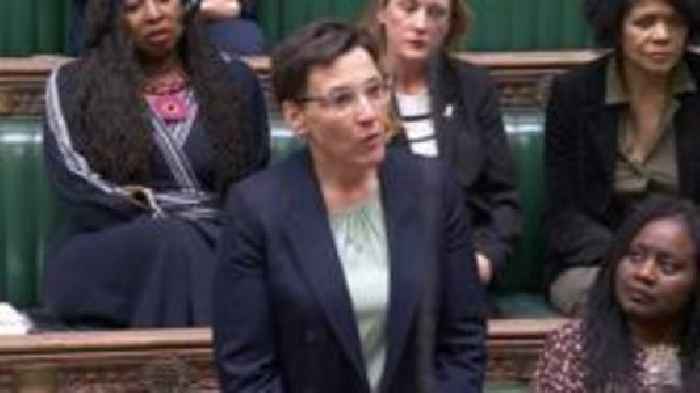 Labour MP criticises gender ideology 'damage'