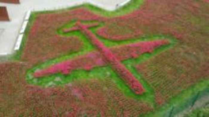 Poppy display for VE Day moves visitors to tears