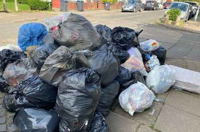 Birmingham bin strike latest - all we know ahead of crunch mediation talks
