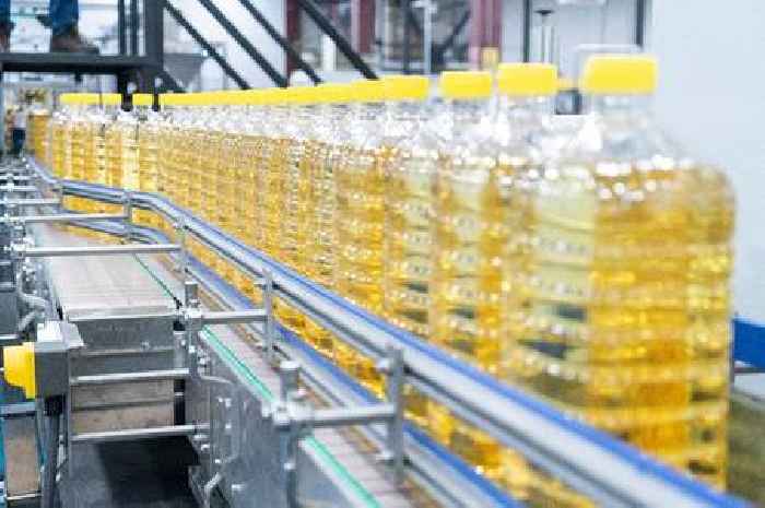 Fat in common cooking oils linked to aggressive breast cancer