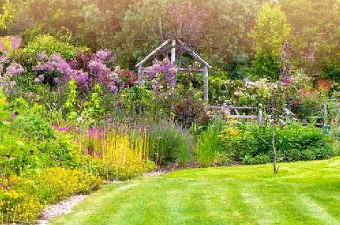 Alan Titchmarsh says planting these 4 flowers will deter slugs from your garden