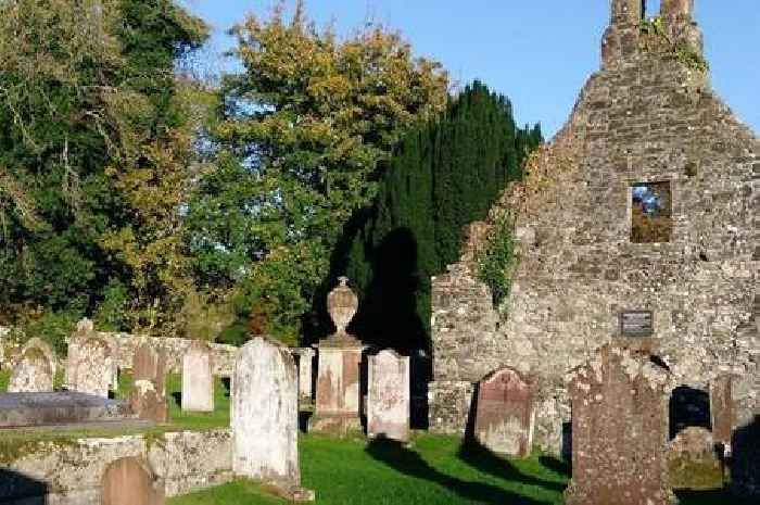 Historian believes Dumfries and Galloway is home of world's oldest known football pitch