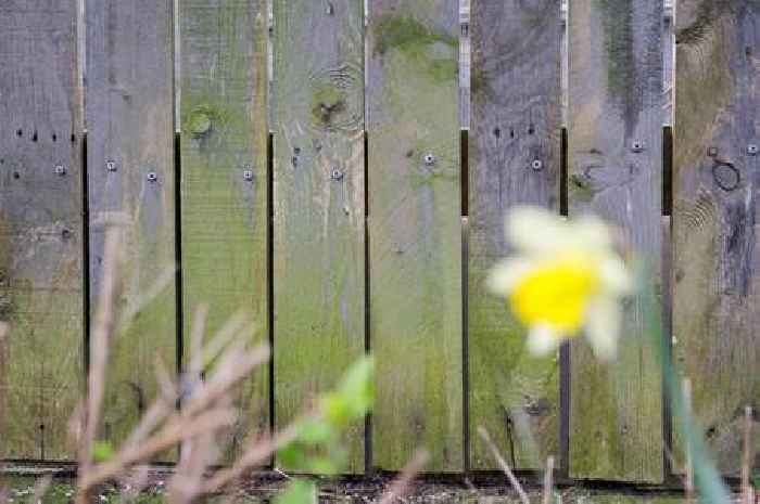 Keep fences 'algae-free for years' with one 'magic' item loved by Mrs Hinch fans