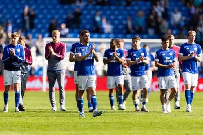 Cardiff City fans hurl anger at Vincent Tan as players in tears at final whistle