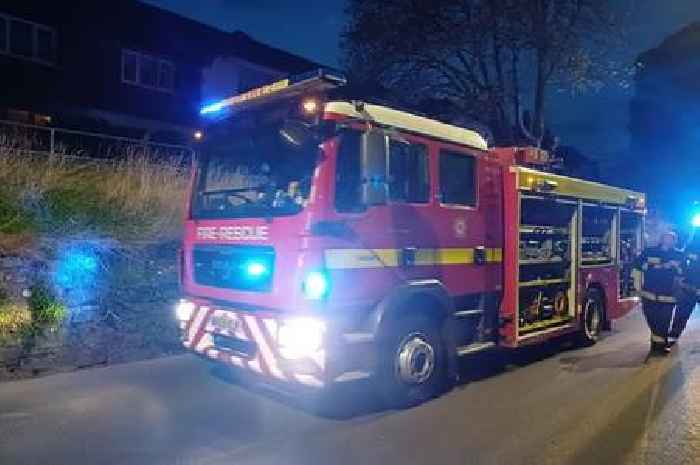 Air-fryer fire forces home evacuation as pet bunny is trapped in Bovey Tracey
