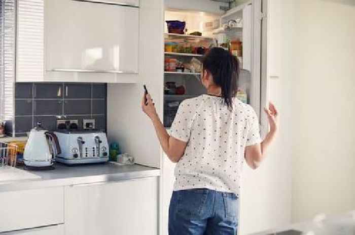 British Gas, OVO, EDF, EON, Octopus customers could save £500 a year with 12 hacks