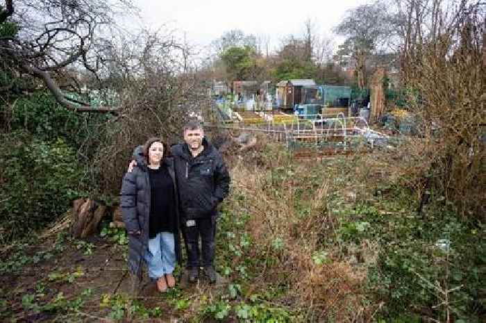 Dad faces £85k bill after failed bid to sue council over fallen tree that wrecked garden