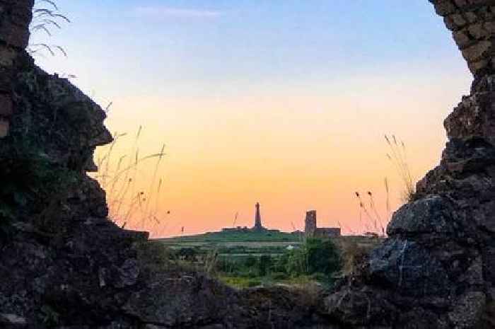 Best walks in Cornwall include woodland and countryside hikes for the whole family