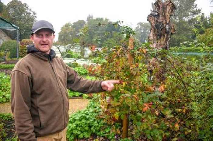 Somerset's incredible garden-to-plate hotel is changing how chefs grow and guests eat
