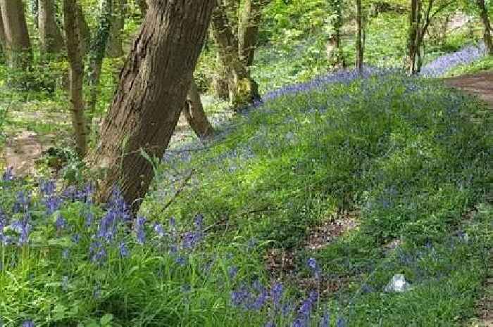 'Secret Lagoon' found in countryside that people say should stay hidden