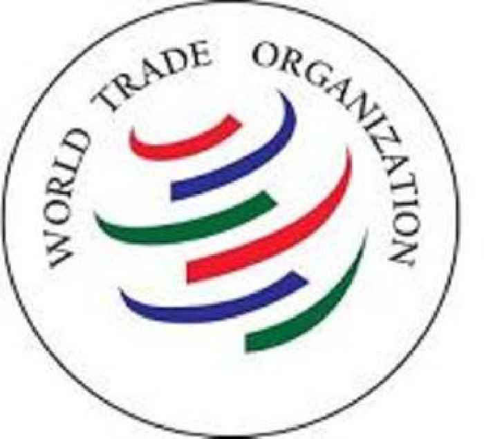 WTO to examine China complaint over EU electric vehicle tariffs
