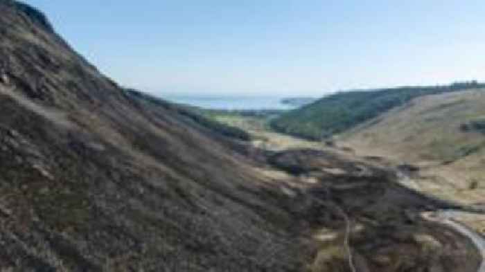 'Wildfire sent years of work up in flames'