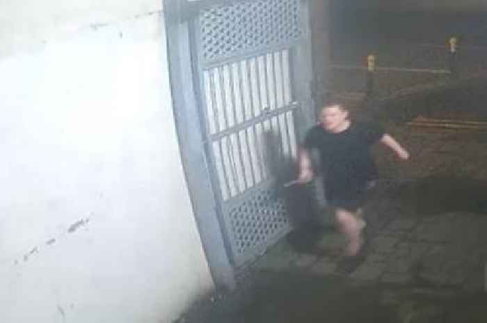 Hunt for man with a stick after woman bitten during attack in Bristol