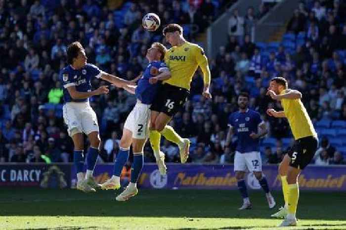 Leicester City told defender is too good for them as glowing predictions made