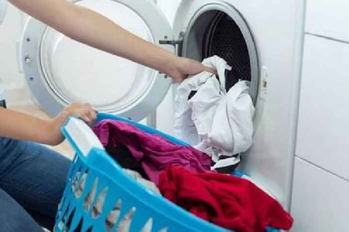 Message to British Gas, Octopus, Eon, EDF and OVO customers with tumble dryers this week