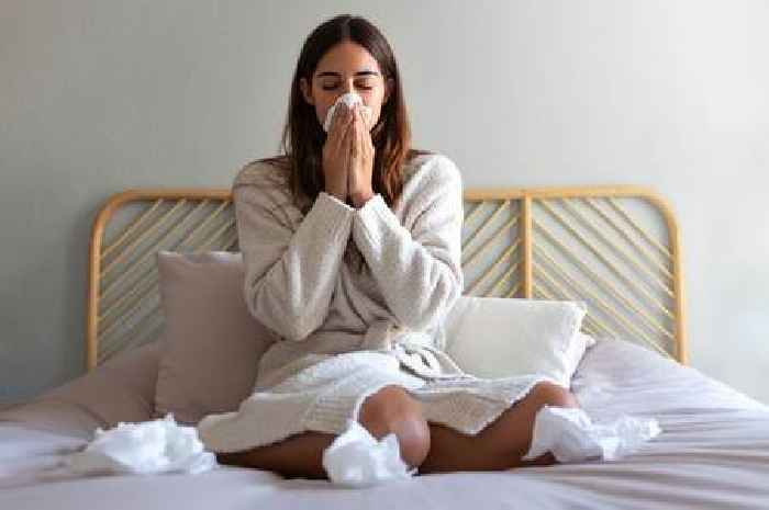 Adding these three foods to diet can 'act as natural hay fever remedies'