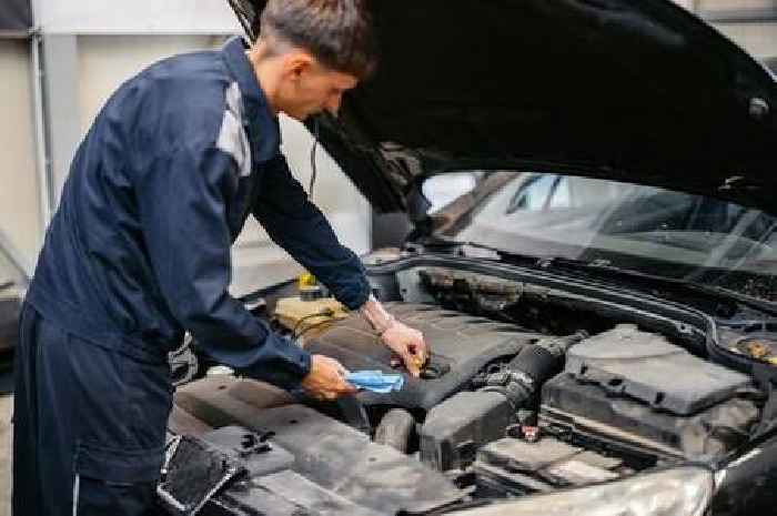 Drivers warned to avoid engine 'black death' with simple tip anyone can do