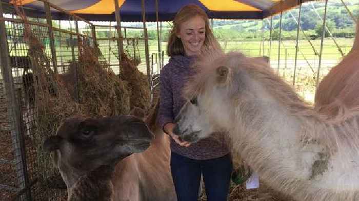 'People forget pets are luxury items': Vet uses NHS comparison to hit back at price critics