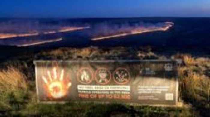 Moorland wildfire damaged 14,000 new trees