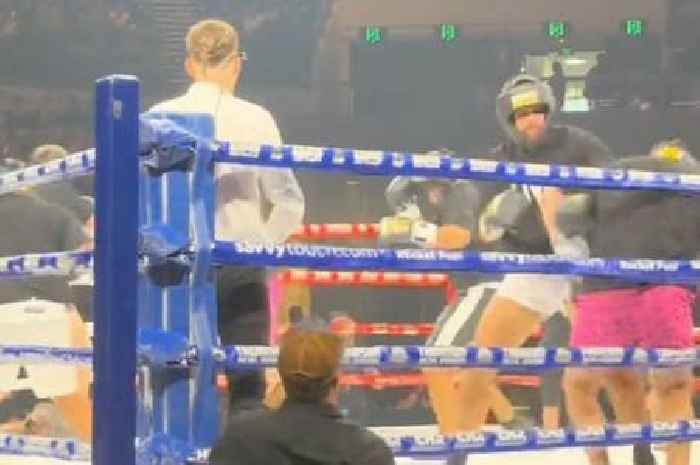 Adult star racer Renee Gracie rages after farcical boxing debut as 7 men fight blindfolded