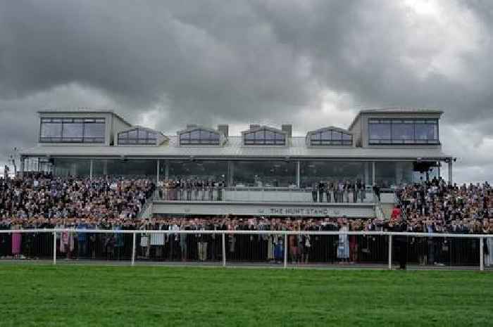 Starform expert's top tips to help punters batter bookies at Punchestown Festival day one