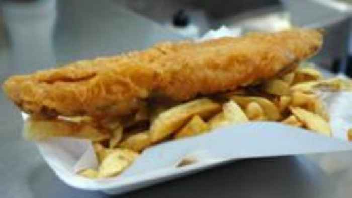 Chip-shop fish key to seabed health, study finds