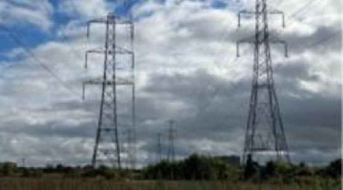 Pylons 'cheapest option' - independent report