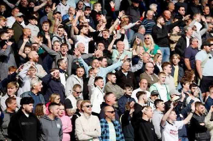 Derby County's survival odds rated as Preston, Hull and Luton face heart-pounding Saturday