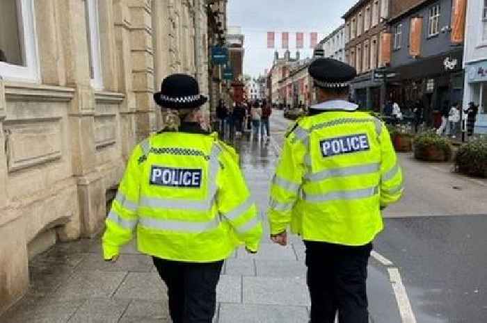 The Devon areas plagued by rowdy drunks, thugs and fist fights