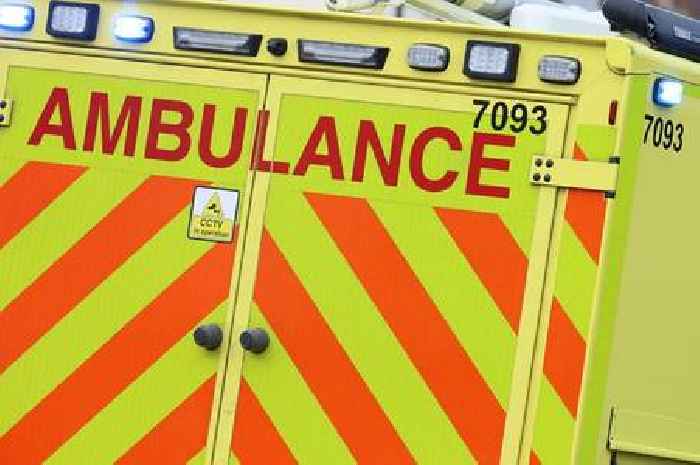 Pedestrian seriously injured after being hit by van in Paignton
