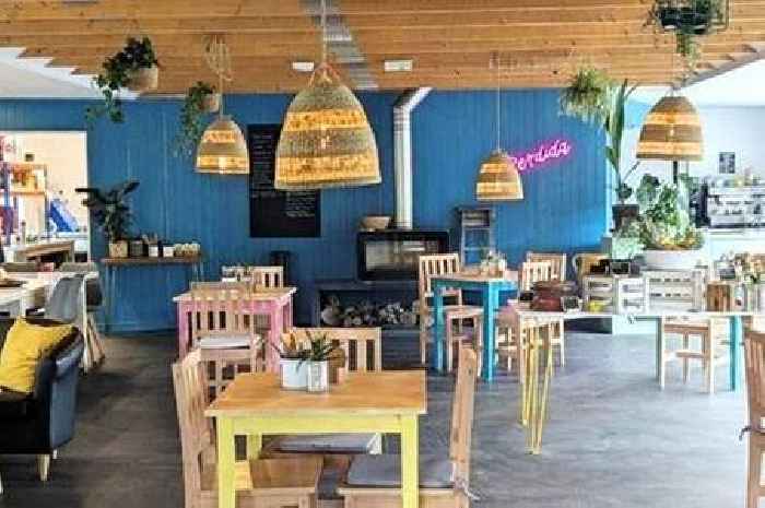 New vegetarian café brings home the fake bacon