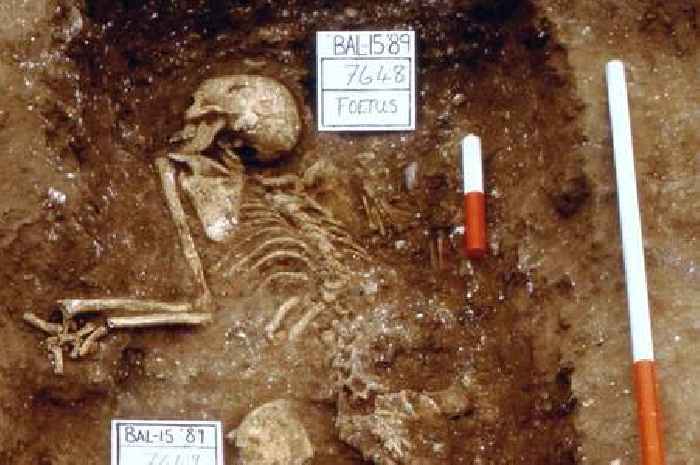 Inside the 1,500-plus human remains held by Hertfordshire museums