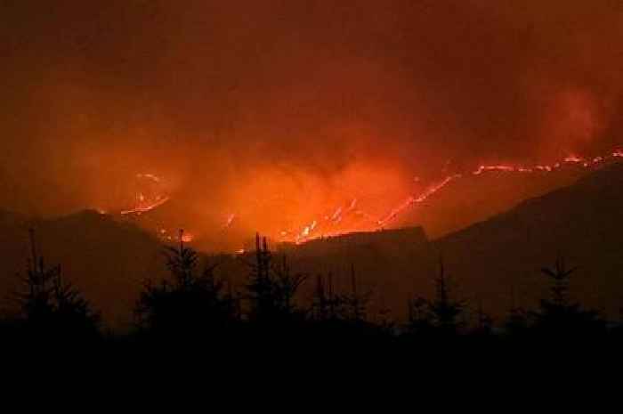 Fire bosses issue 'very high' wildfires risk for Dumfries and Galloway as temperatures set to soar