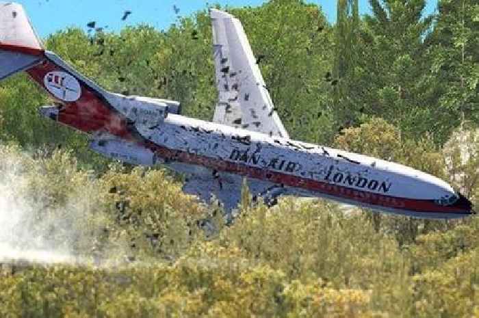 Pilot's chilling mistake causing deaths of 146 Brits