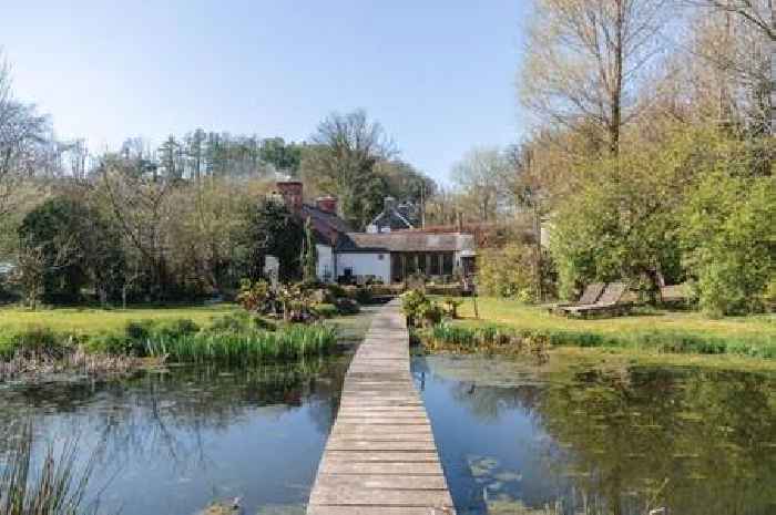 You can buy half an entire Welsh hamlet and it's the most gorgeous thing you've ever seen