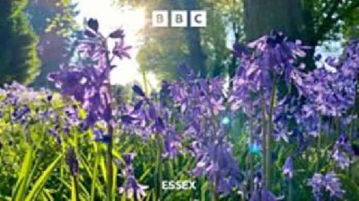 Essex basks in glorious spring sunshine
